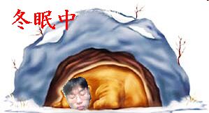 冬眠中
